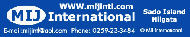 MIJ international